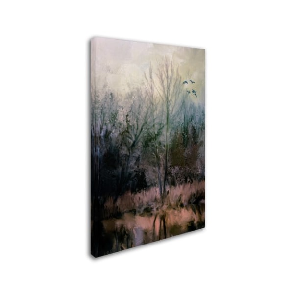 Jai Johnson 'Morning At Fairground Swamp' Canvas Art,30x47